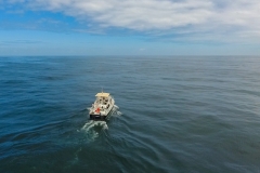Motoryacht-Überführung, Algarve-Le Havre (1.100nm)