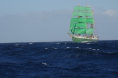Alexander von Humboldt II