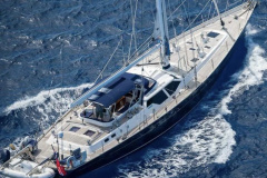 Toad-Yachtzoo