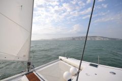 WhiteCliffs_Cat-scaled